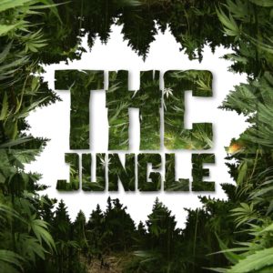 NEBULA (Indica) Live Crumble - THC Jungle - Image 2