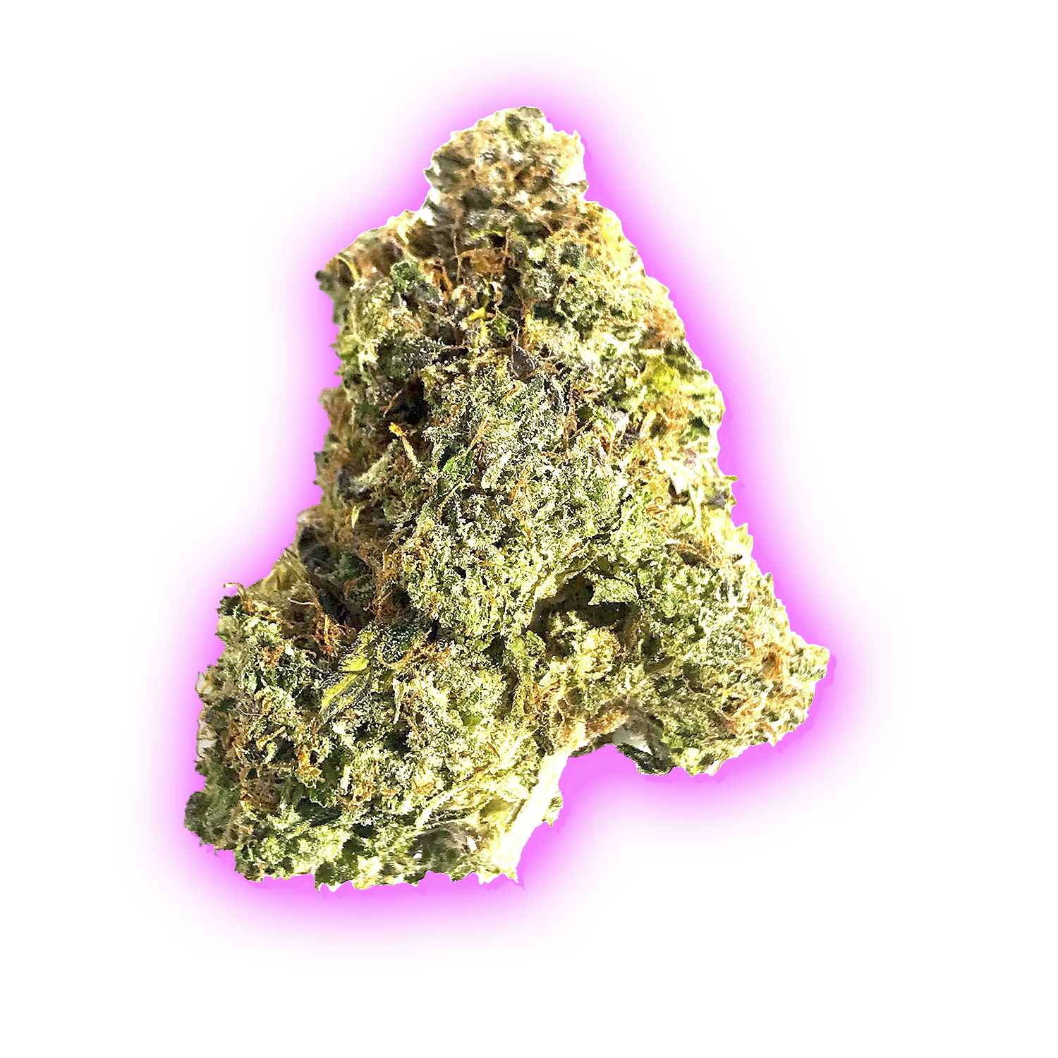 Pink Gorilla Hybrid Strain Vancouver Free Same Day Delivery Ganja Guru